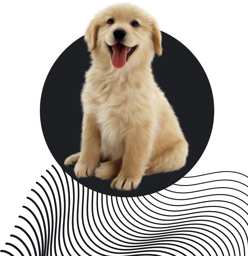 Your Pets