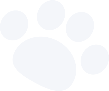 training-paw