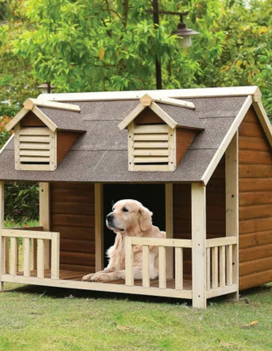 Armstrong Kennels Boarding Facilities MN