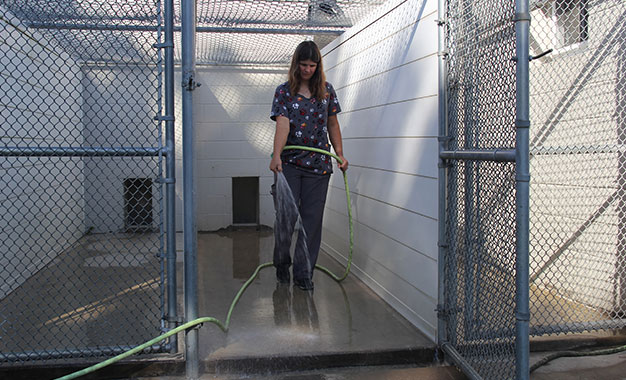 personal-service01 Rooms and runways