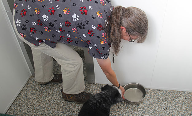 personal-service03 Fresh water