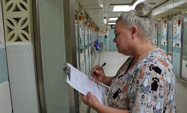 personal-service05 Daily REPORT CARD