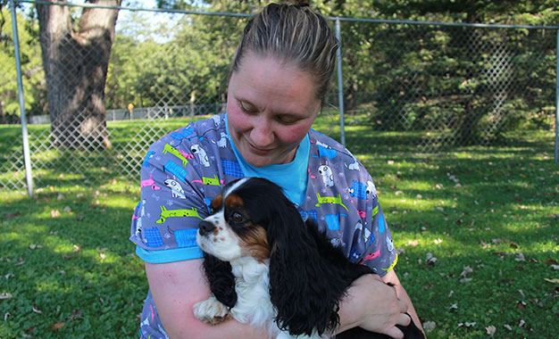 personal-service06 Pets Outdoor